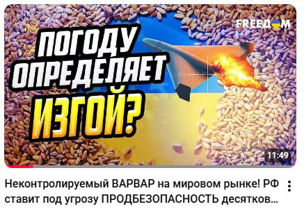 Media Як РФ ставить під загрозу продовольчу безпеку десятків країн? Коментар Ярослава Романчука телеканалу FREEДOM.